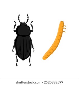 vector drawing larve of click beetle, wireworms isolated at white background, garden pest, hand drawn illustration