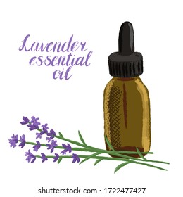 vector drawing lavender essential oil, glass bottle and flowers, hand drawn illustration