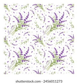 Vector drawing, lavender pattern with lettering, isolated on white for wallpaper, textile, design packaging, wedding card, natural medicine