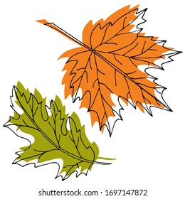 Vector drawing of leaves. Nature. Seasons, spring, summer, autumn. Sketch, illustration.