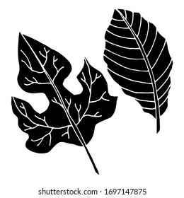 Vector drawing of leaves. Nature. Seasons, spring, summer, autumn. Sketch, illustration.