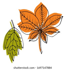Vector drawing of leaves. Nature. Seasons, spring, summer, autumn. Sketch, illustration.