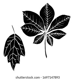 Vector drawing of leaves. Nature. Seasons, spring, summer, autumn. Sketch, illustration.