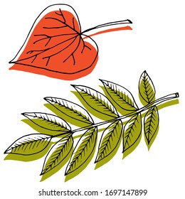 Vektorillustration von Blättern. Die Natur. Jahreszeiten, Frühling, Sommer, Herbst. Skizze, Illustration.