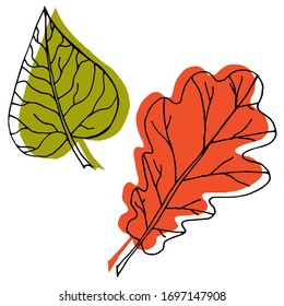 Vector drawing of leaves. Nature. Seasons, spring, summer, autumn. Sketch, illustration.