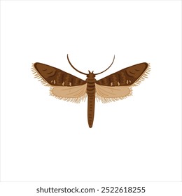 vector drawing leek moth , onion leaf miner, isolated at white background, garden pest, hand drawn illustration