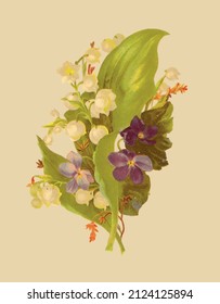 Vector drawing of lily of the valley flowers in vintage style