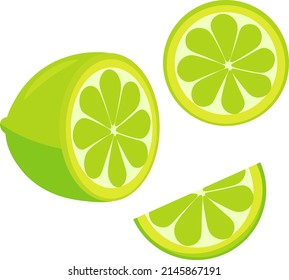 Vector drawing lime. Illustration of a citrus fruit on a white background.