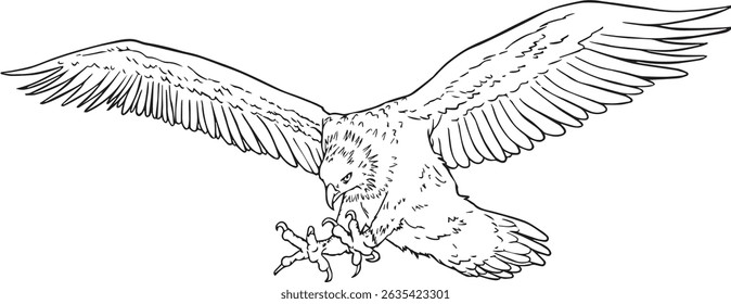 Vector drawing line art of a hawk pouncing