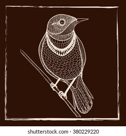 Vector drawing - a linear image of birds in different poses.