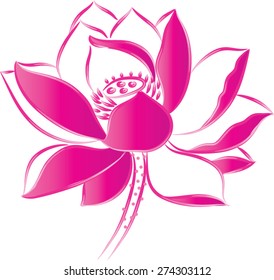 Vector Drawing Lines Lotus Flower Stock Vector (Royalty Free) 274303112 ...