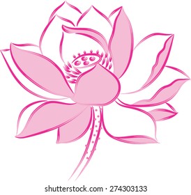 Vector Drawing Lines Lotus Flower Stock Vector (Royalty Free) 274303133 ...