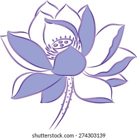 vector drawing lines for lotus flower
