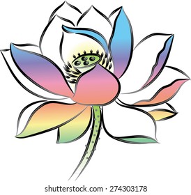 vector drawing lines for lotus flower