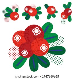 Dibujo vectorial de un lingonberry. Diseño moderno y luminoso de una baya con hojas. 