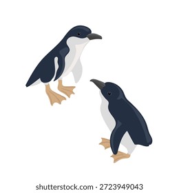 vector drawing little penguin , sea birds, isolated at white background, hand drawn illustration