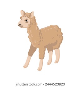 vector drawing llama, animal isolated at white background, hand drawn illustration