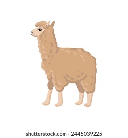 vector drawing llama, animal isolated at white background, hand drawn illustration