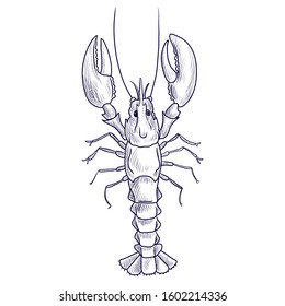 vector drawing lobster , seafoods, hand drawn illustration