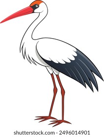 A vector Drawing of a long leg stork