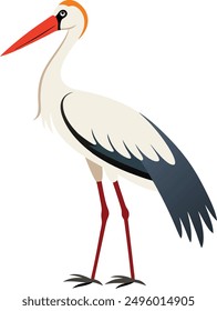 A vector Drawing of a long leg stork