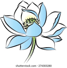  vector drawing lotus flower