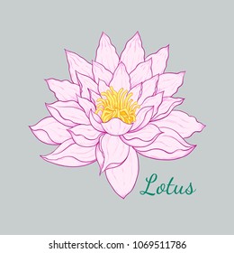 Vector drawing of a lotus flower. Hand-drawn botanical isolated illustration. Floral background.