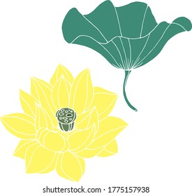 Vector drawing lotus flowers. Nature. Sketch, illustration. decorative
