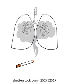 Vector drawing of lungs and smoke from a cigarette