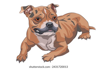 Vector drawing of a lying American Staffordshire Terrier puppy.