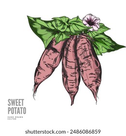 A vector drawing made by hand depicts a bouquet of sweet potatoes among elegant flowers and leaves. This vector illustration embodies natural elegance.