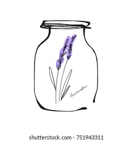 Vector, drawing, magic, glass jar, vessel, elements for design, children's illustration, print, poster, postcard, symbols, set, congratulation, gift, lavender, flowers, organic, shop.