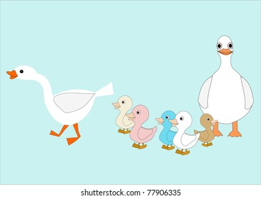 Vector drawing of male and female ducks and five different-color ducklings.
