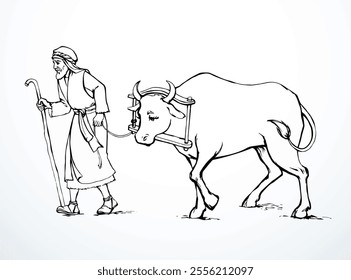 Vector drawing. A man leads an ox