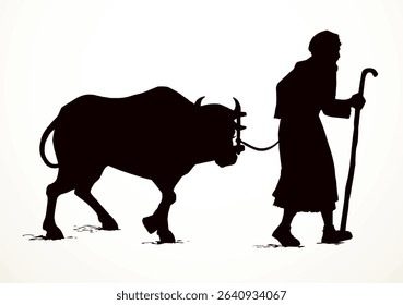 Vector drawing. A man leads an ox