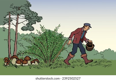 Vector drawing. Man picking mushrooms in the forest
