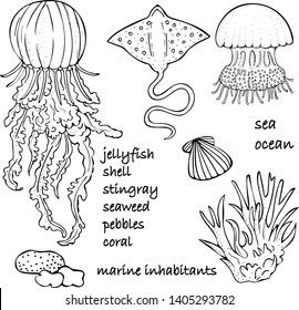 vector drawing of marine life - jellyfish, shells, stingray, algae, pebbles,
coral. Vector inscription of names of marine inhabitants.