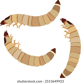 desenho vetorial de larvas de caruncho, larvas de besouro, sobre fundo branco.