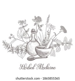 vector drawing medicinal plants, bottle, mortar and pestle at white background, hand drawn illustration of medicinal plant