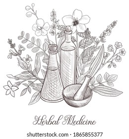 vector drawing medicinal plants, bottle, mortar and pestle at white background, hand drawn illustration of medicinal plant