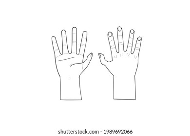 vector drawing  men's hands in position different  upside down   turn up  white background