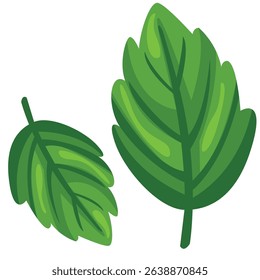 Vector drawing of mint. Fragrant herb to decorate a variety of dishes. Sprigs of greenery for decorating desserts and cocktails. 