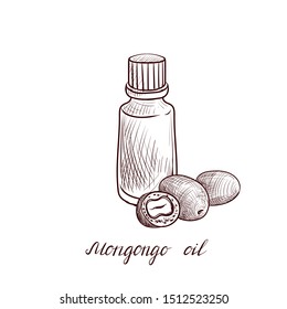 vector drawing mongongo oil, bottle of vegetable oil and nuts, hand drawn illustration