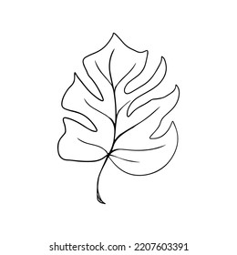 Vector drawing Monster leaves. Modern one-line art, aesthetic outline.