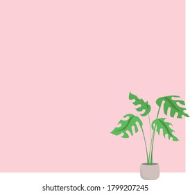 Dibujo vectorial de la planta de monstera en una cubeta de arcilla sobre fondo rosa