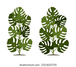 Dibujo vectorial de la planta de monstera. Naturaleza y ecología. Ilustración vectorial aislada de la planta de monstera sobre un fondo blanco para redes sociales, afiches, tarjetas y más.