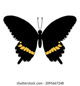 mormón de dibujo vectorial aislado en fondo blanco, ilustración dibujada a mano