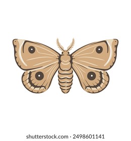 vector drawing moth, butterfly isolated at white background, natural elements, hand drawn illustration
