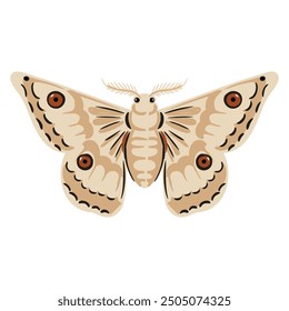 vector drawing moth, butterfly isolated at white background, natural elements, hand drawn illustration