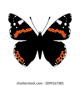 vector drawing mourning cloak butterfly, Camberwell beauty, hand drawn illustration